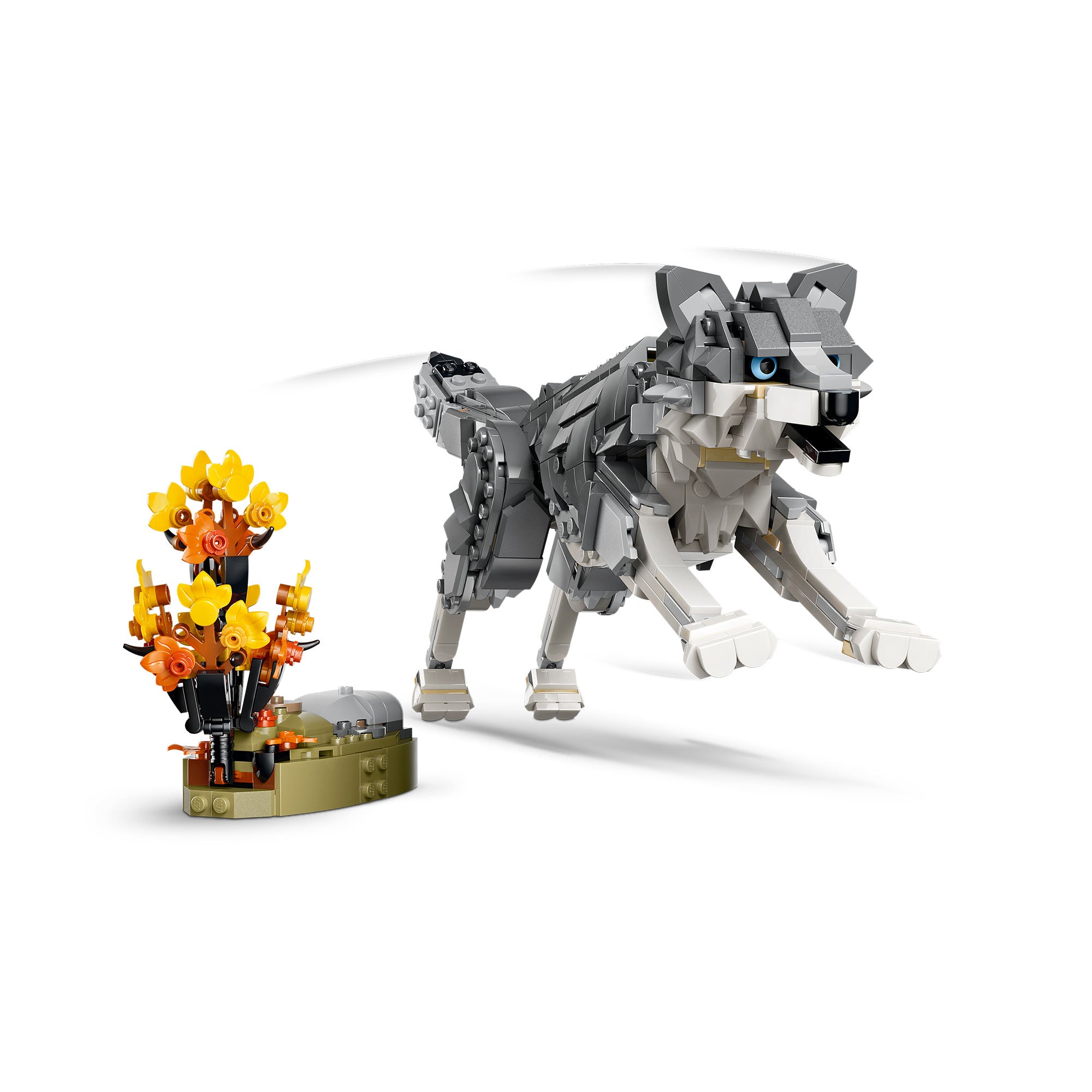 Animales del Bosque: Lobo Gris