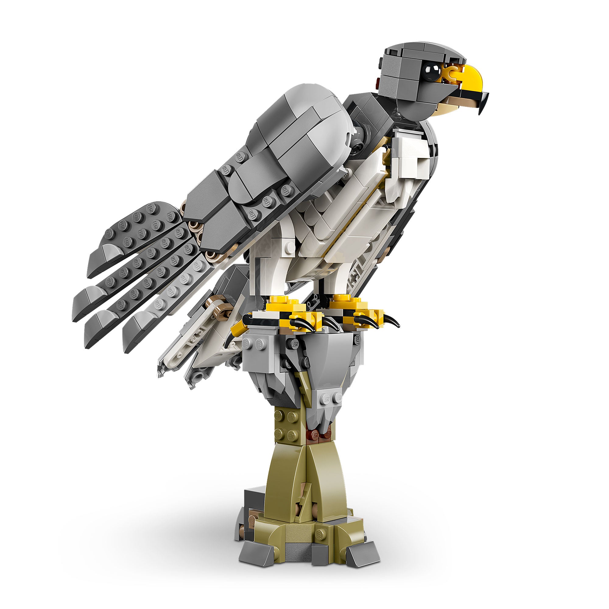 Animales del Bosque: Lobo Gris