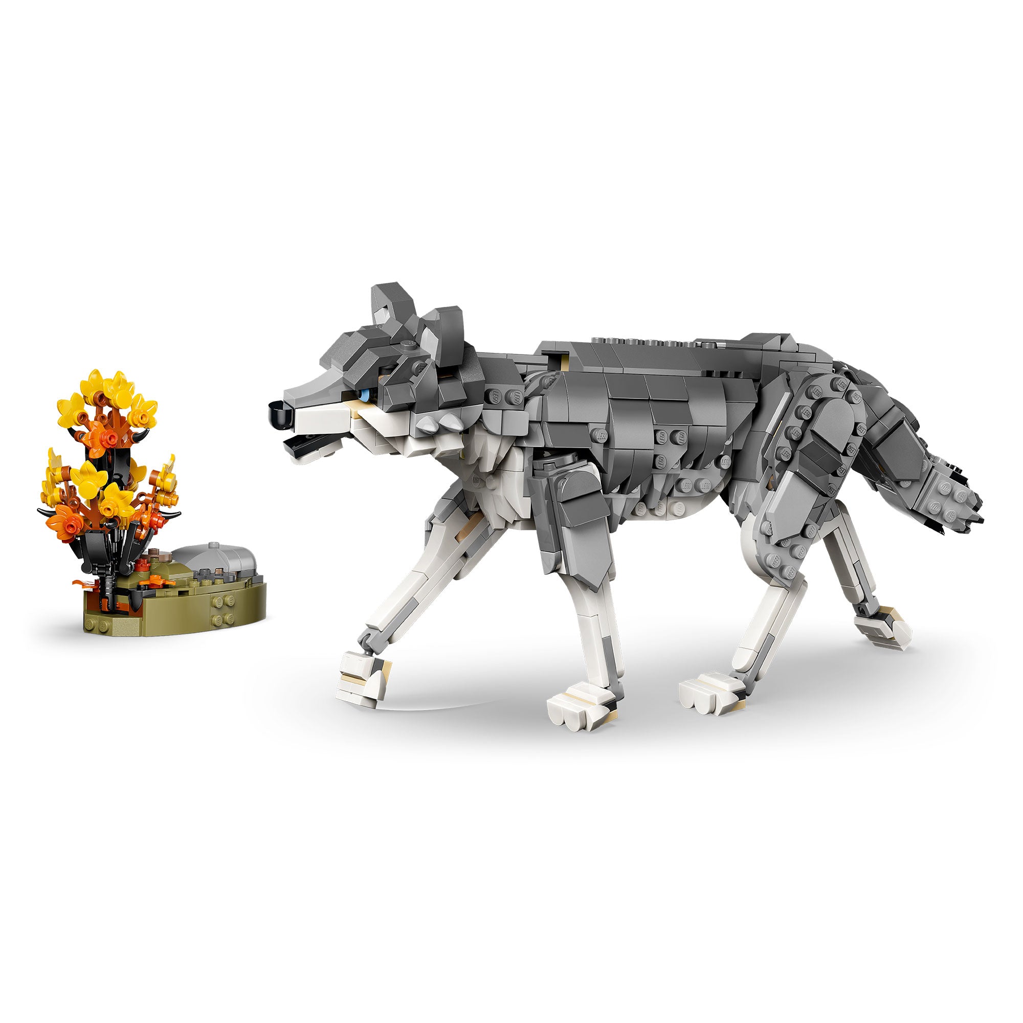 Animales del Bosque: Lobo Gris