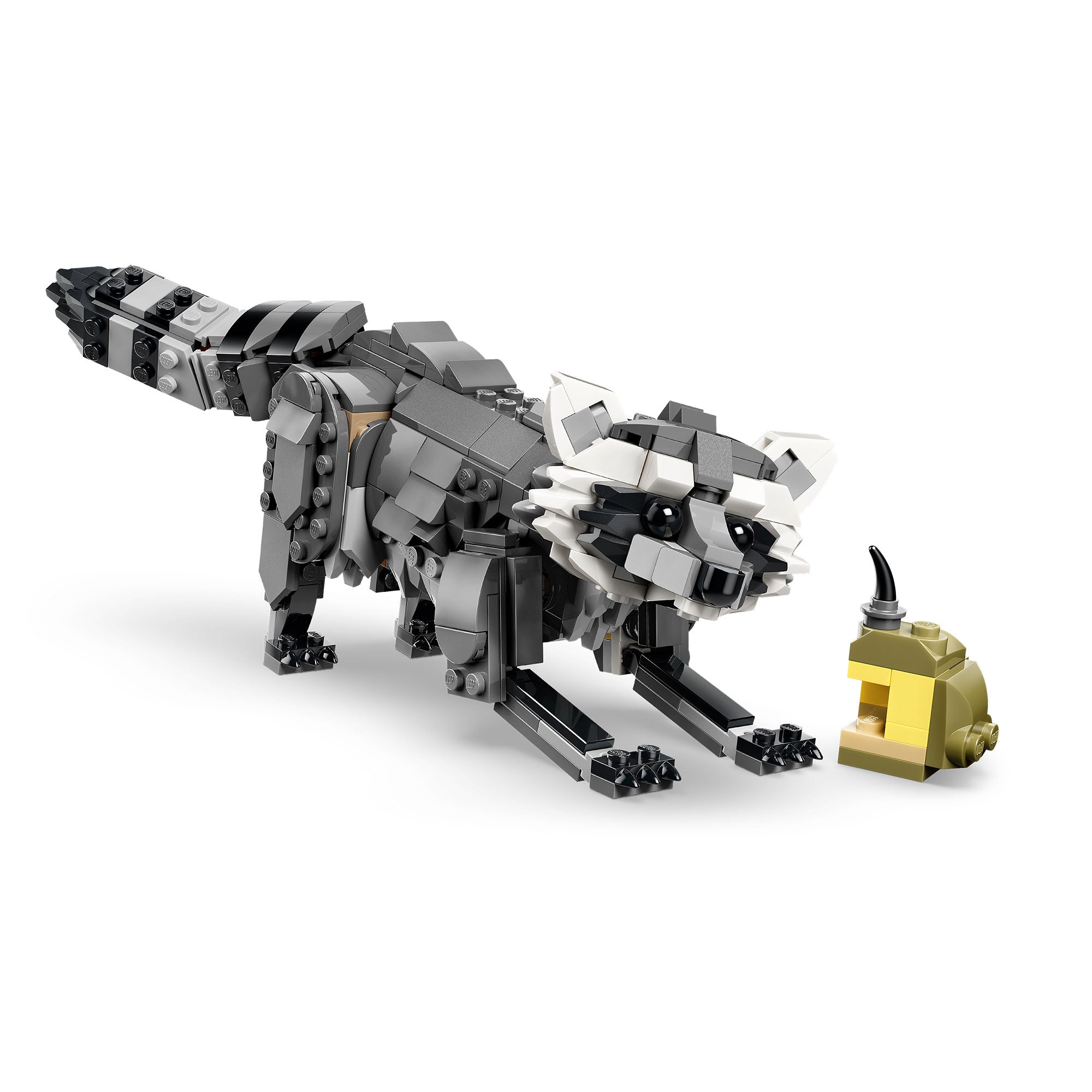 Animales del Bosque: Lobo Gris