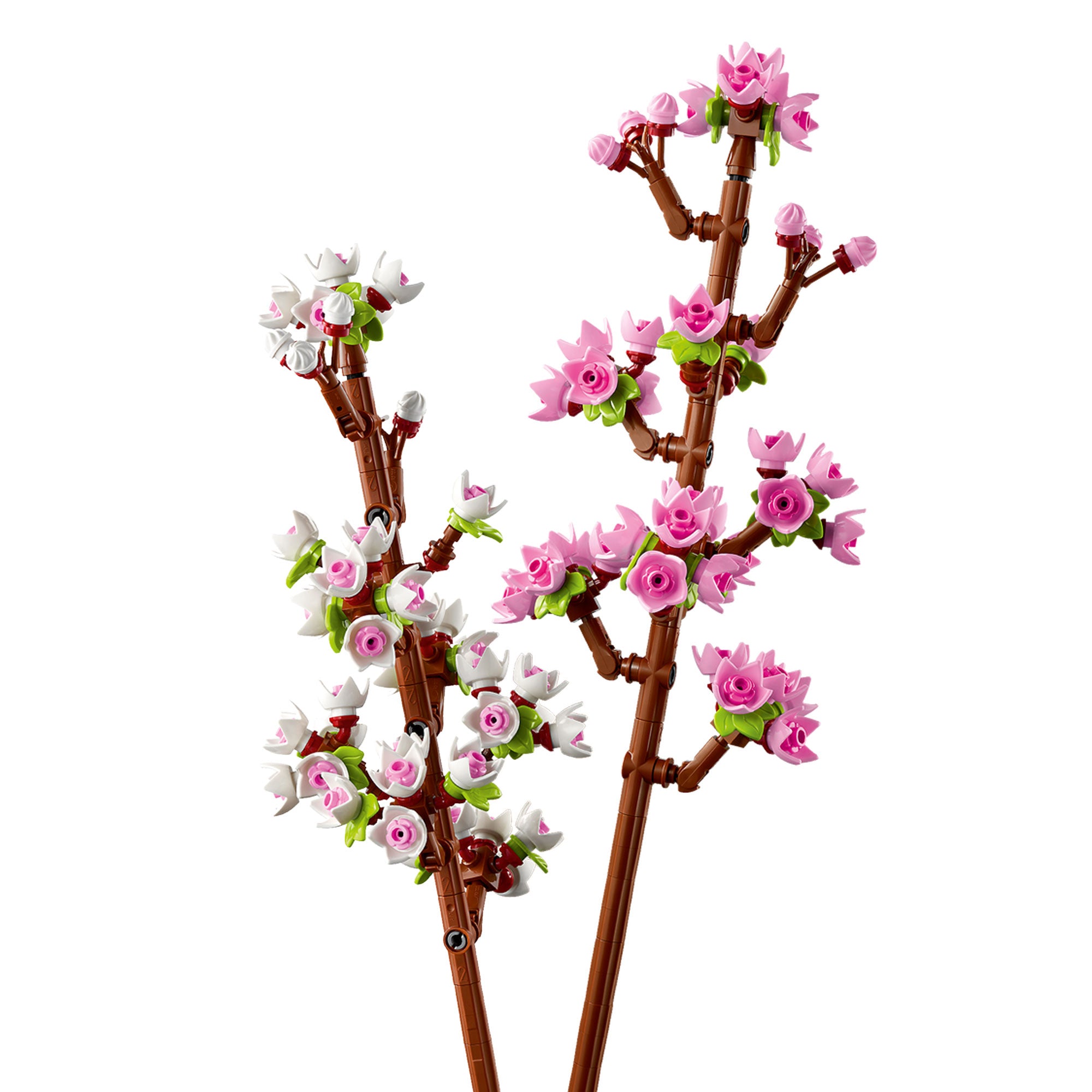 Flores de Cerezo