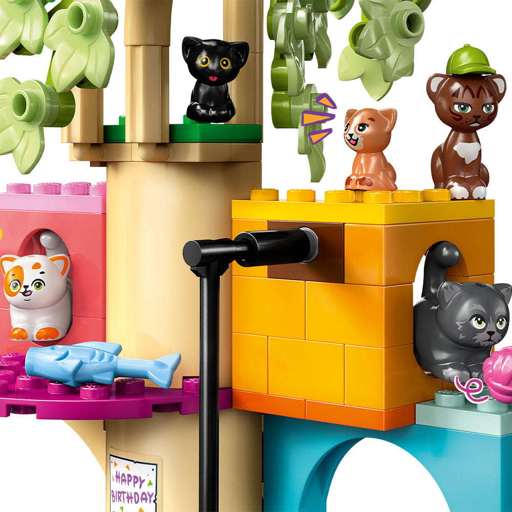 Fiesta de Cumpleaños y Casa del Árbol Felina
