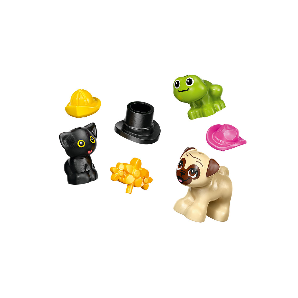 Furgoneta de Accesorios Caninos