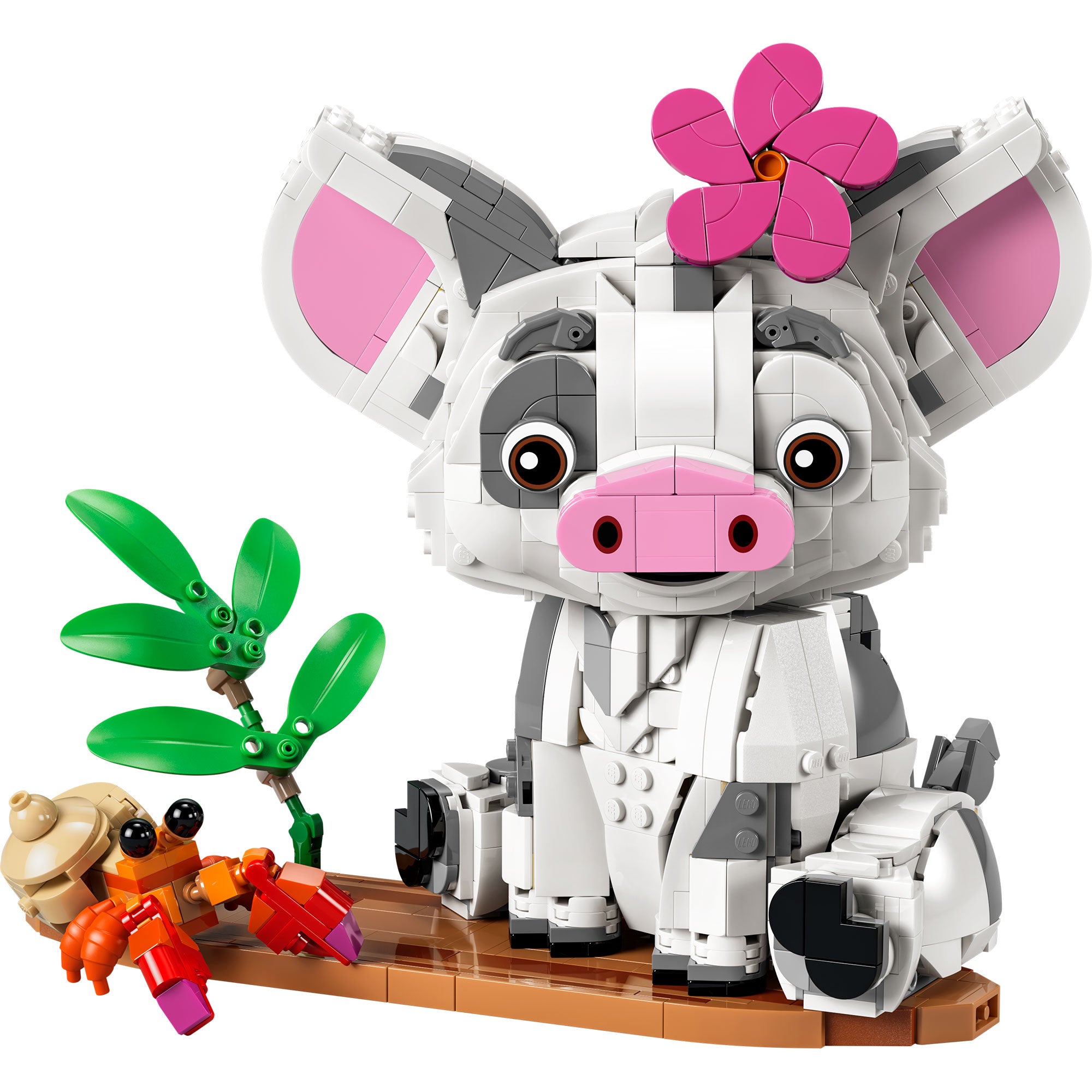 Pua