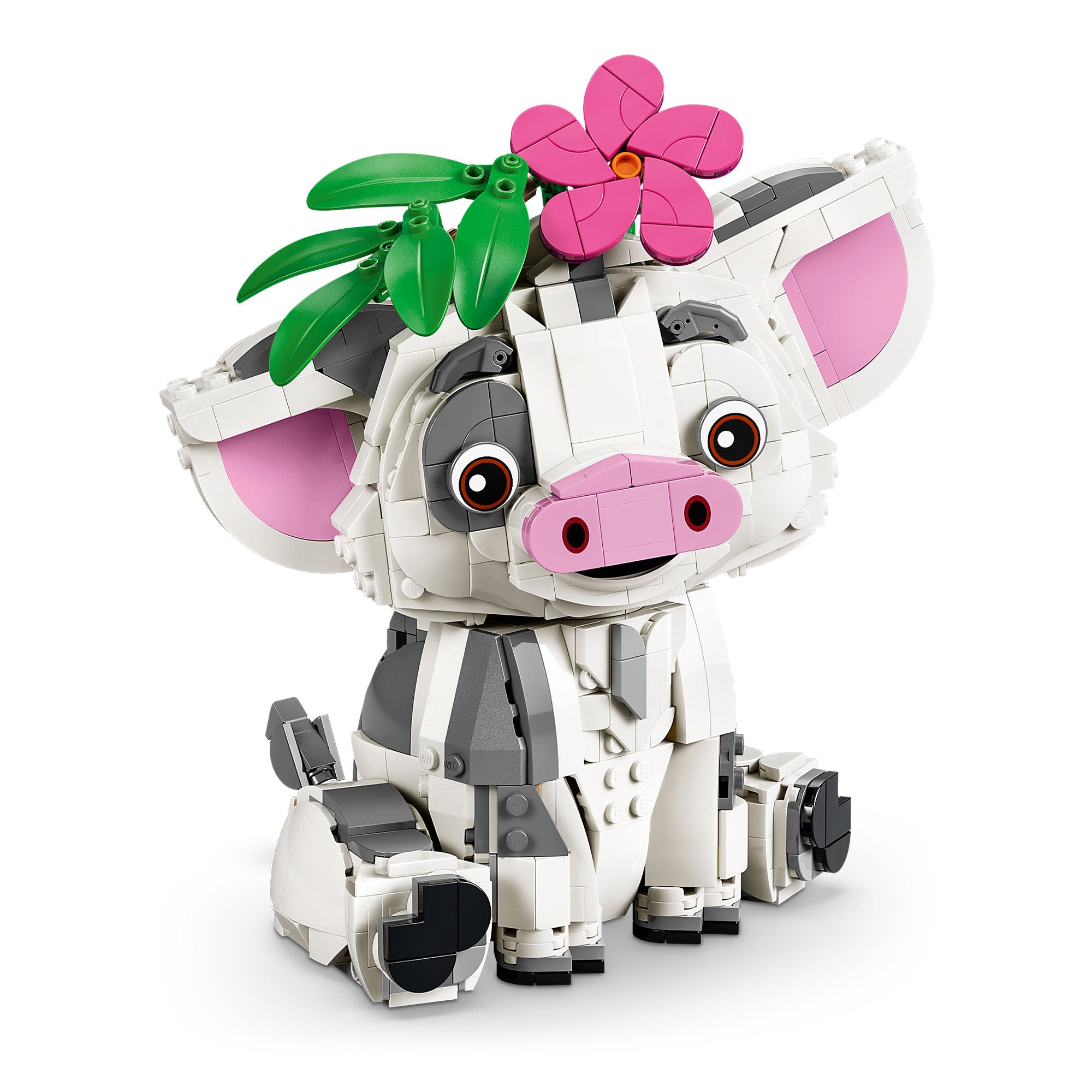 Pua