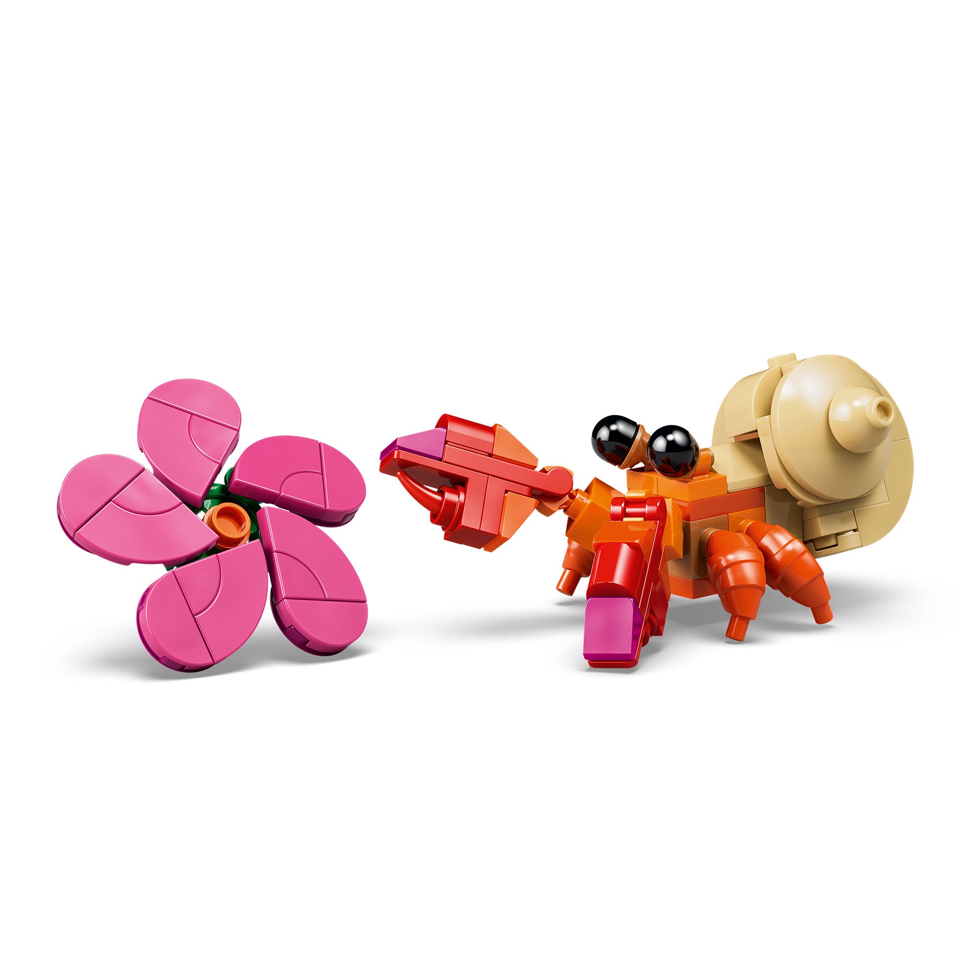 Pua