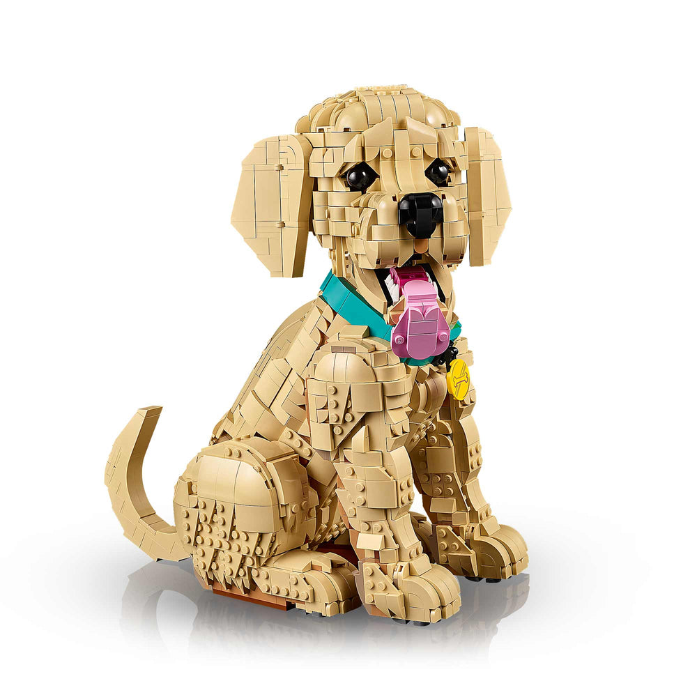 Cachorro de Golden Retriever