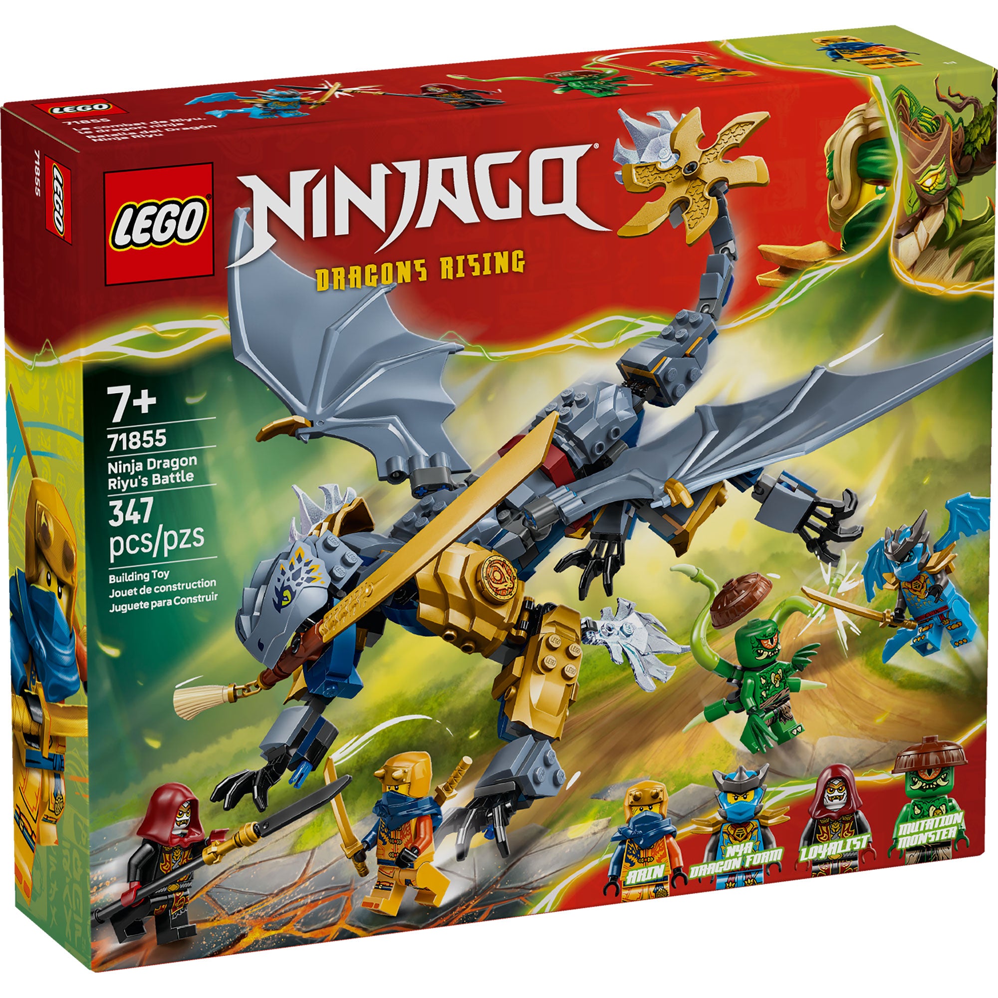 Batalla del Dragón Ninja Riyu