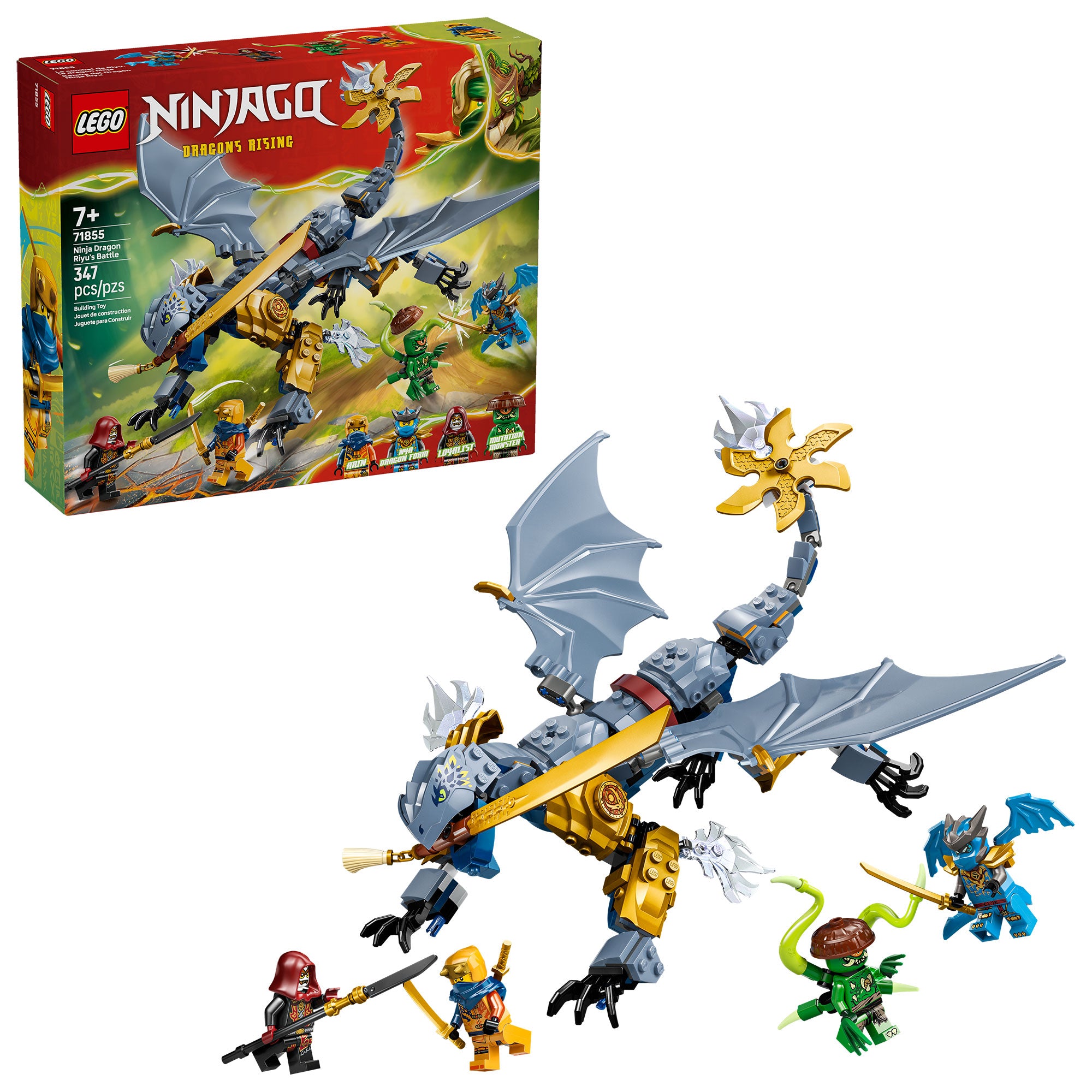 Batalla del Dragón Ninja Riyu