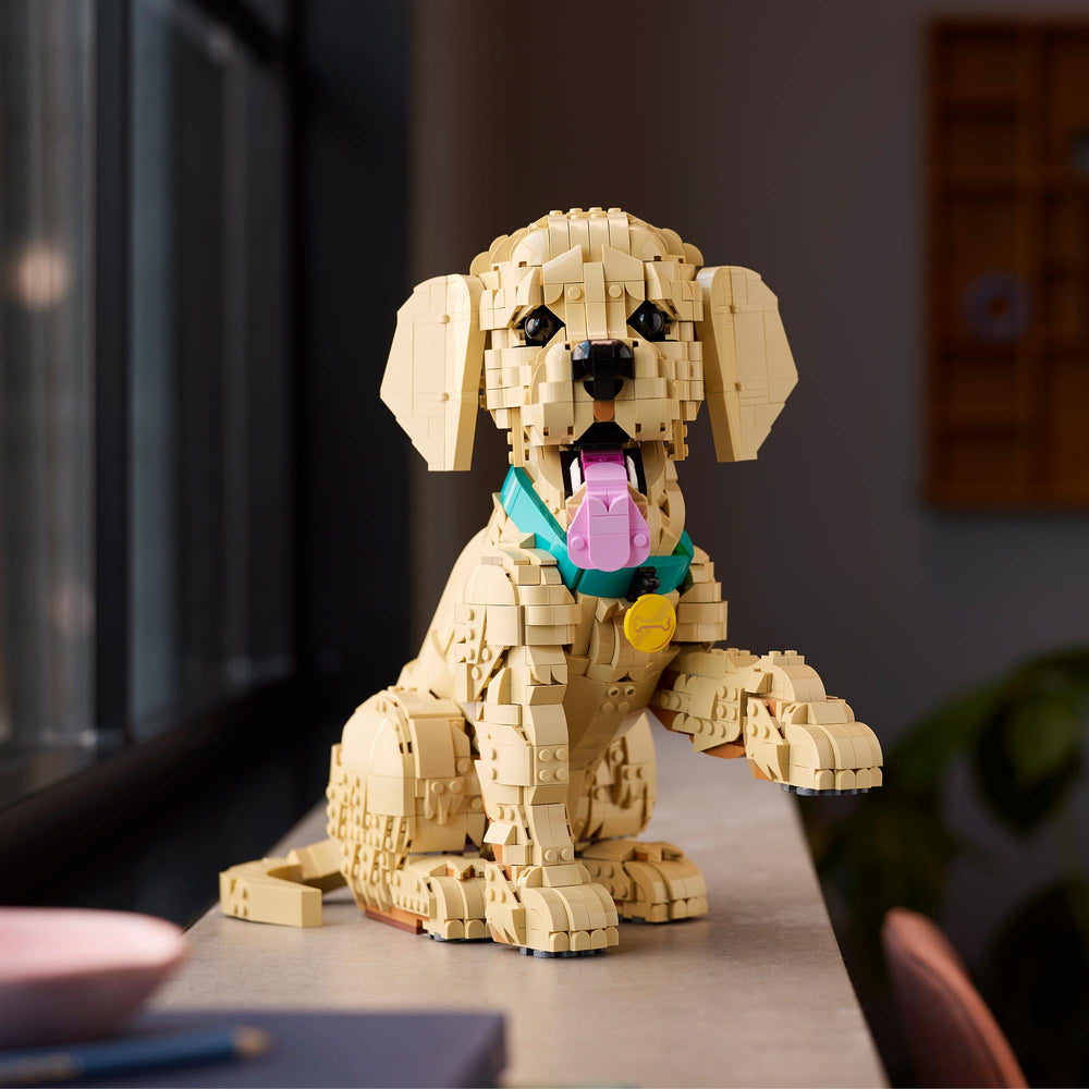 Cachorro de Golden Retriever