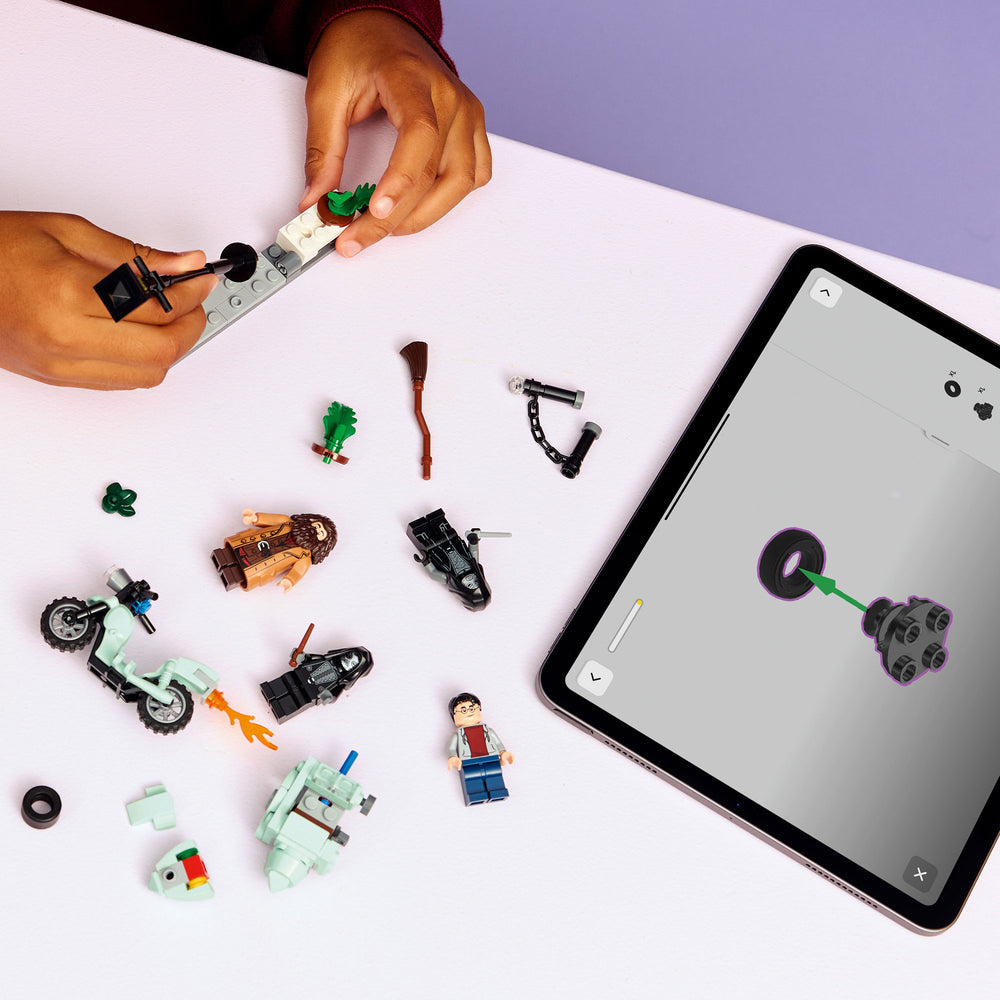 Hagrid™ y Harry: Huida de Privet Drive