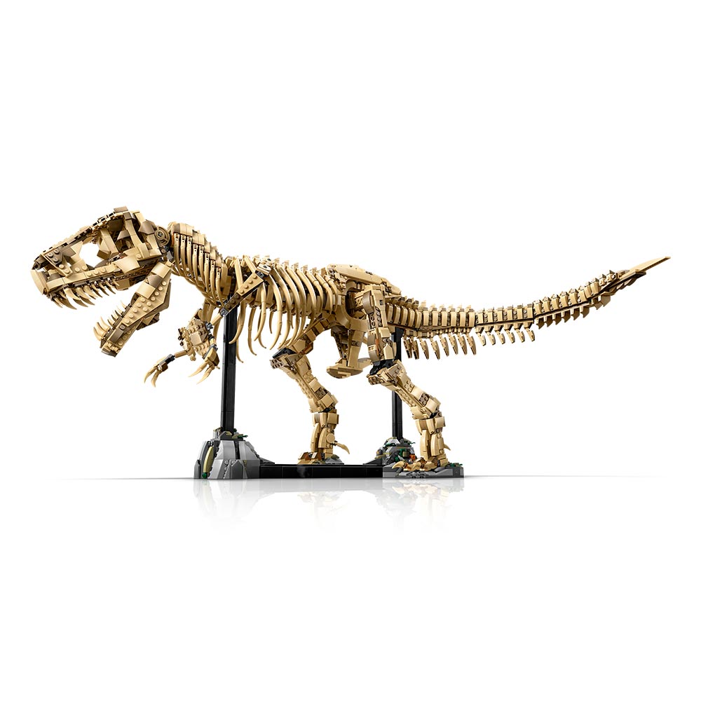 Fósiles de Dinosaurio: Tyrannosaurus rex