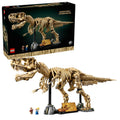 Fósiles de Dinosaurio: Tyrannosaurus rex