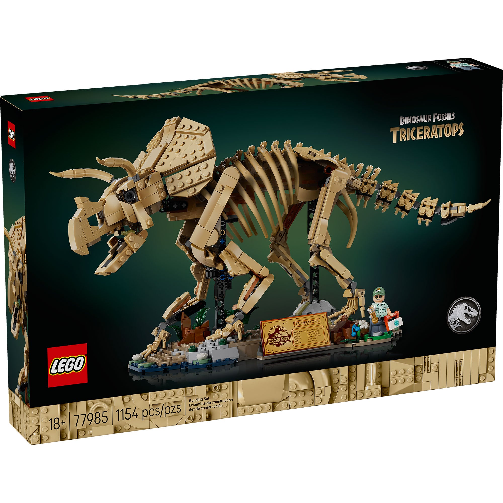 Fósiles de Dinosaurio: Triceratops