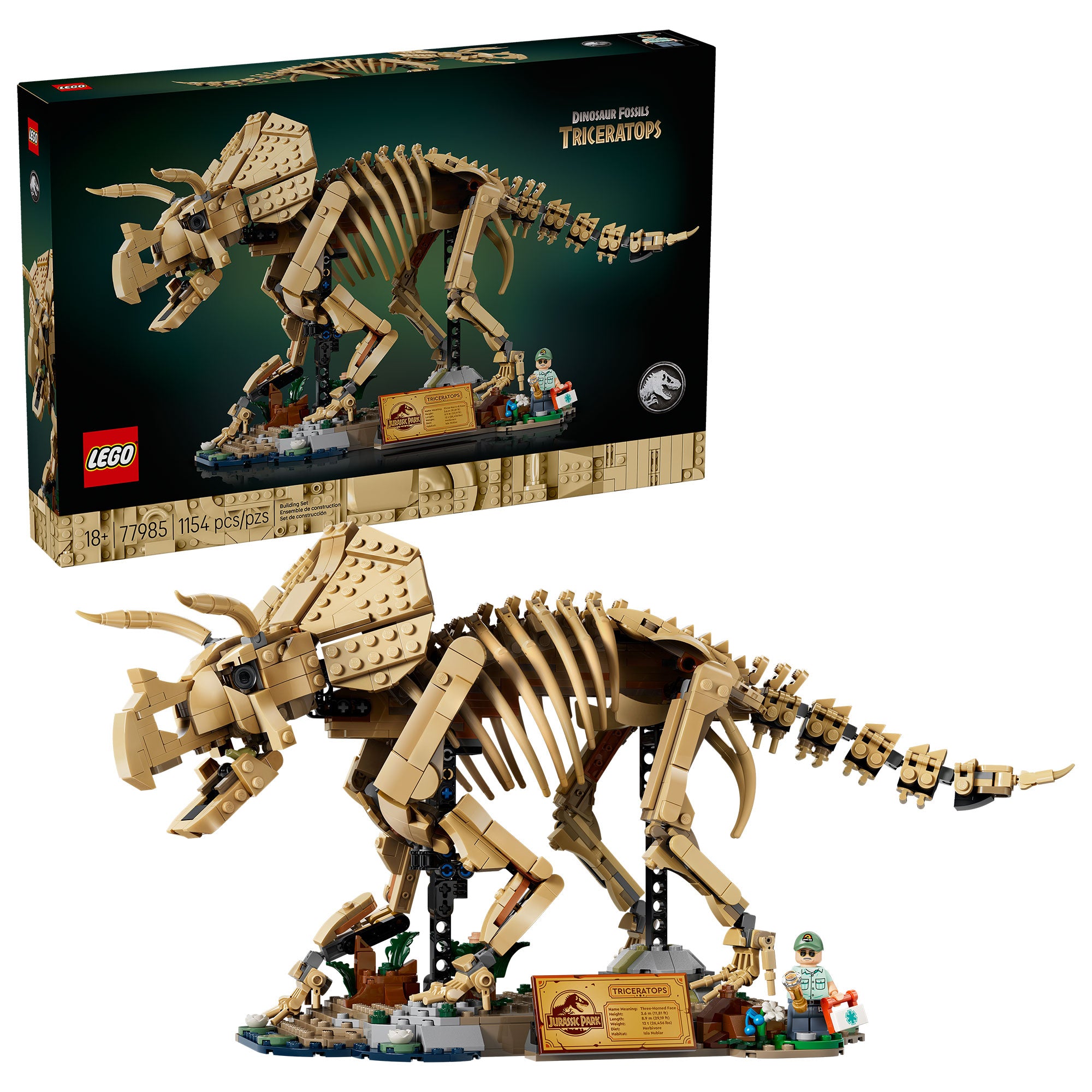 Fósiles de Dinosaurio: Triceratops