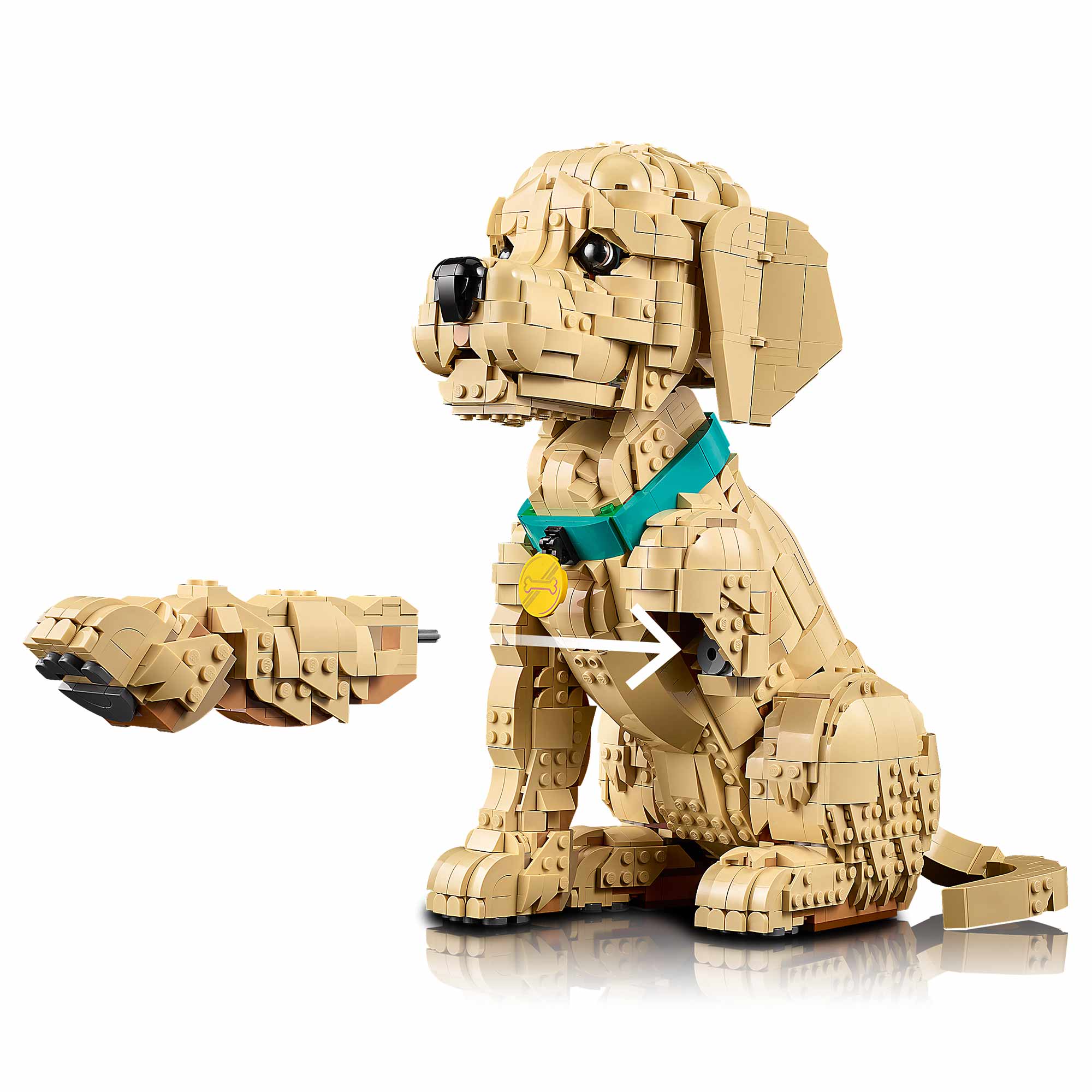 Cachorro de Golden Retriever