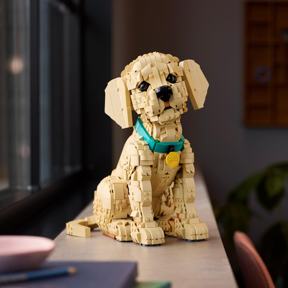 Cachorro de Golden Retriever