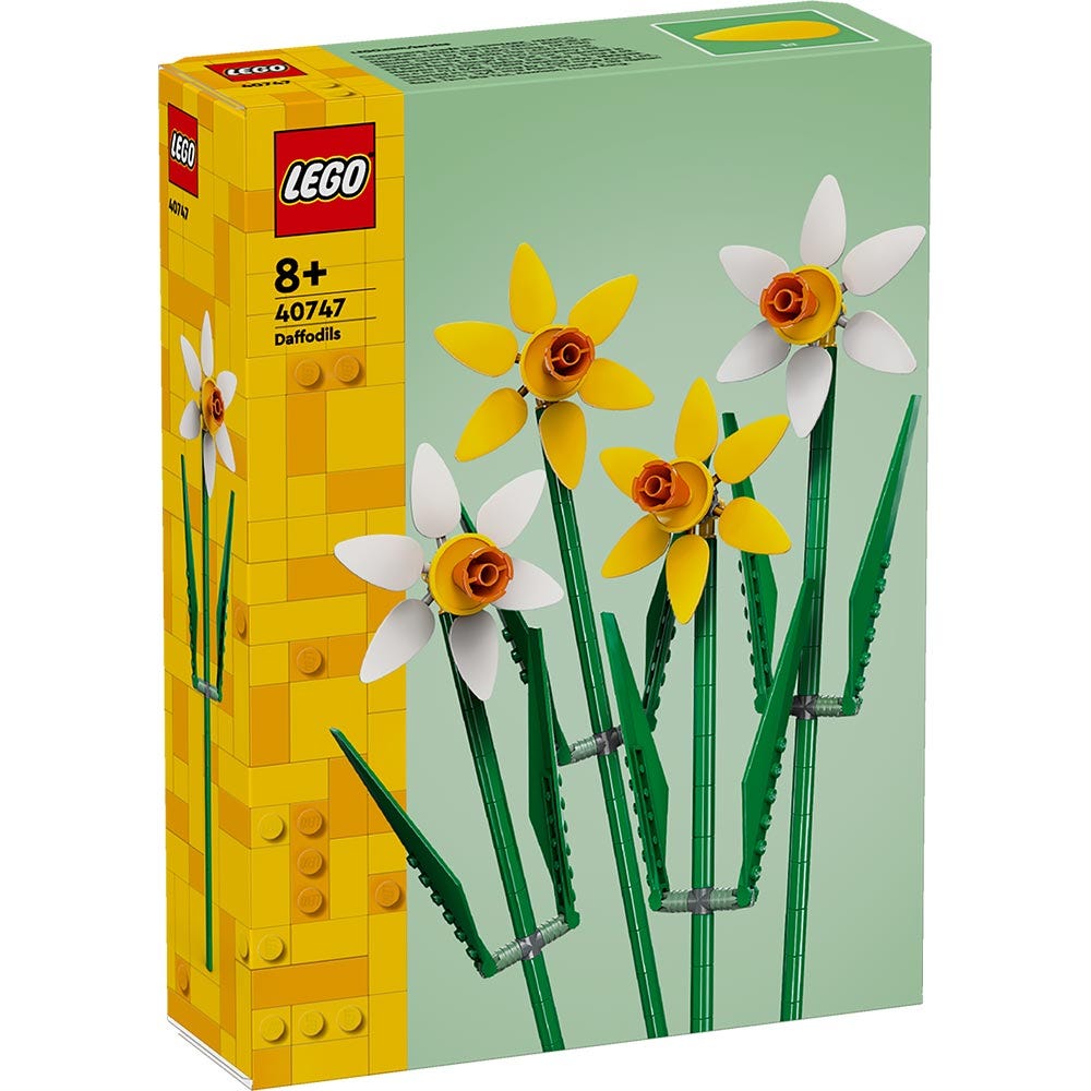 Narcisos