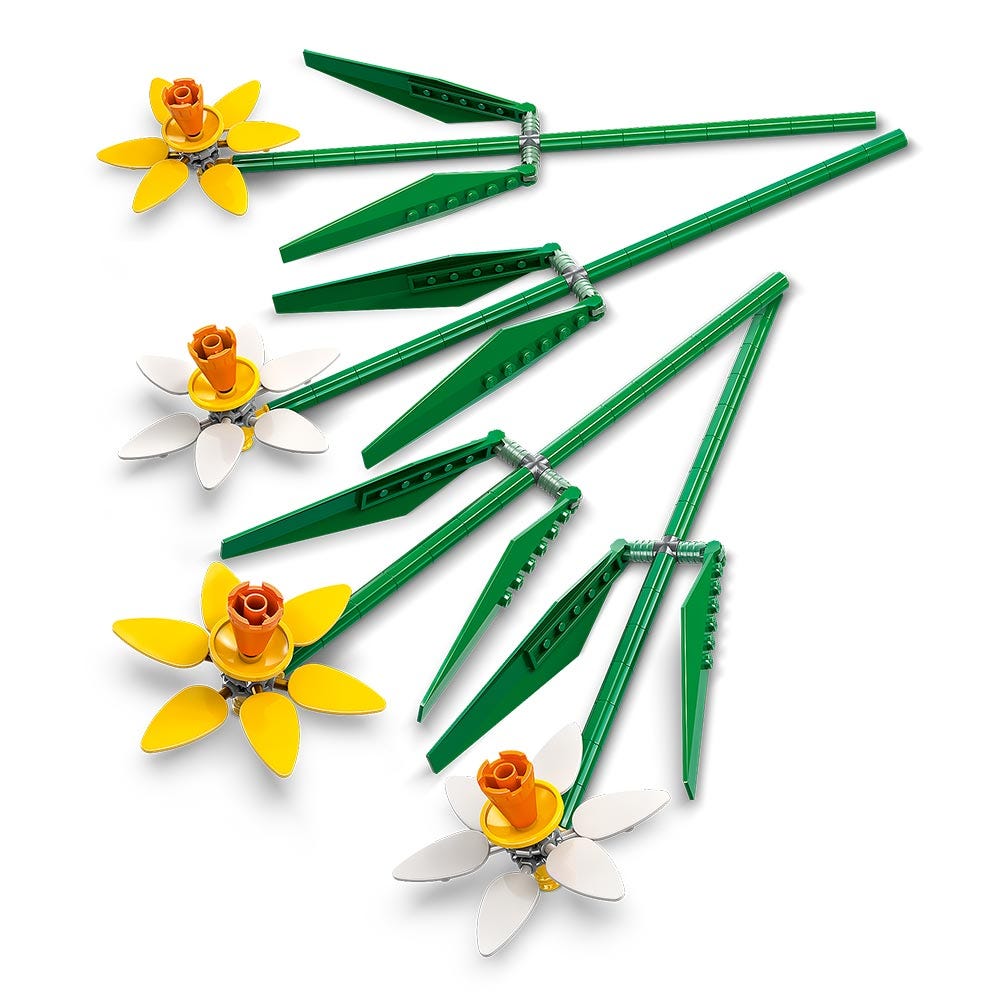 Narcisos